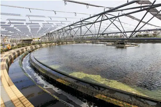 污水處理廠運行