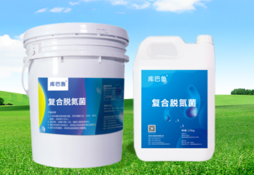 庫巴魯氨氮降解劑