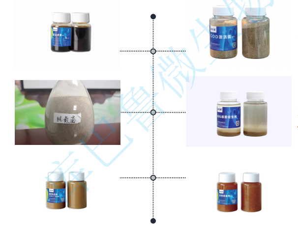 微生物產(chǎn)品